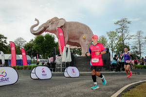 BIB: 
                            <button type="button" onclick="openModal(26529064)" class="btn btn-primary btn-sm float-right btn-popup" data-toggle="modal" data-target=".modal-high-quality">
                        <i class="fas fa-shopping-cart"></i> Add to Cart
                    </button>
                                            <button type="button" onclick="isThisMe(26529064, true)" class="btn btn-success btn-sm float-right btn-popup btn-isme hidden" data-toggle="tooltip" data-placement="bottom" title="นี่คือรูปของคุณใช่ไหม คลิกที่นี่เพื่อเอาเข้าอัลบั้ม">
                        <i class="fas fa-plus"></i> Add to album
                    </button>
                    <button type="button" onclick="isThisMe(26529064, false)" class="btn btn-warning btn-sm float-right btn-popup btn-isnotme hidden">
                        <i class="fas fa-ban"></i> Remove from album
                    </button>